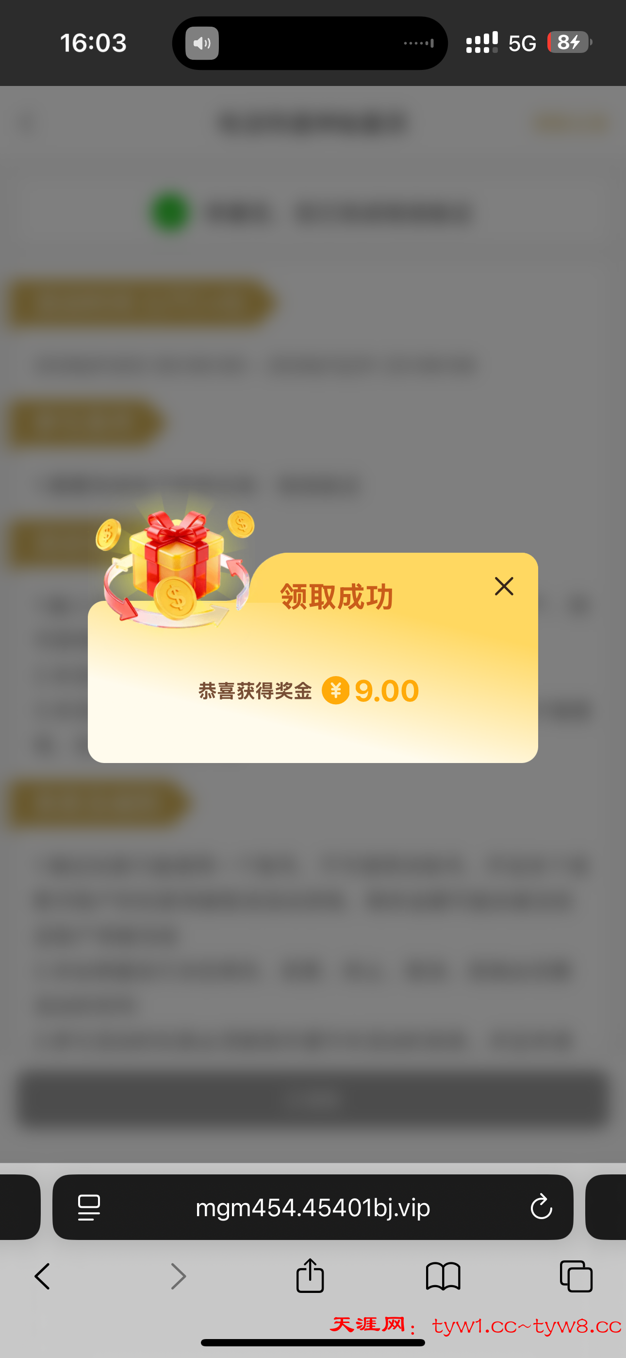 IMG_0428.png